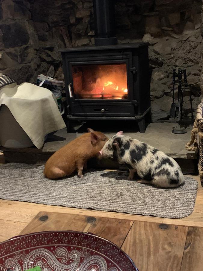 Ystalyfera Cwtch Farm Bed & Breakfast מראה חיצוני תמונה