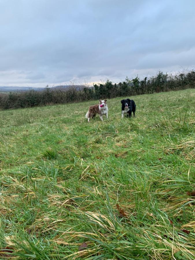 Ystalyfera Cwtch Farm Bed & Breakfast מראה חיצוני תמונה