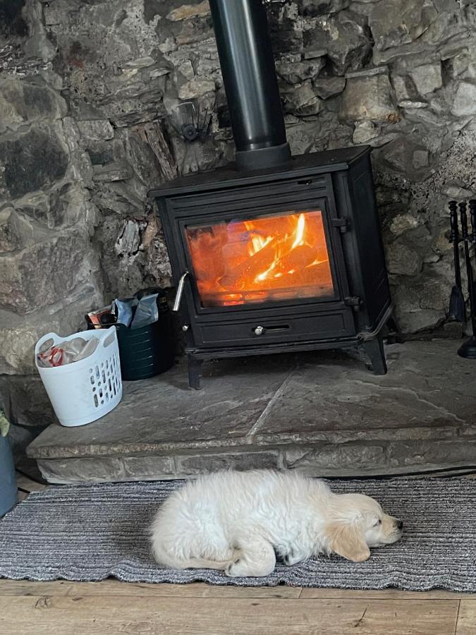 Ystalyfera Cwtch Farm Bed & Breakfast מראה חיצוני תמונה